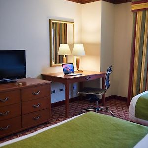 Standard Suite