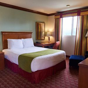 Queen Suite